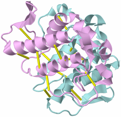 Image Biological Unit 3