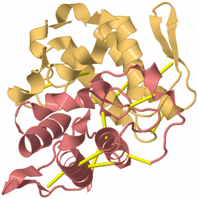 Image Biological Unit 4