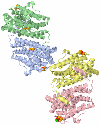 Image Asymmetric Unit