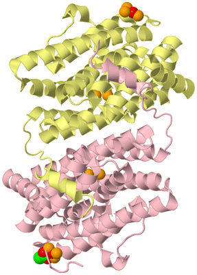 Image Biological Unit 2