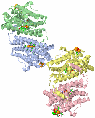 Image Asym. Unit - sites