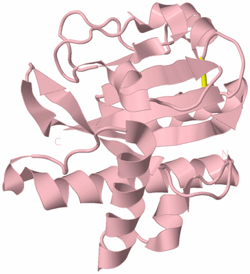 Image Biological Unit 3