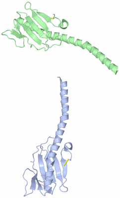 Image Asymmetric Unit