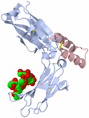 Image Biological Unit 1