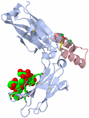 Image Biol. Unit 1 - sites