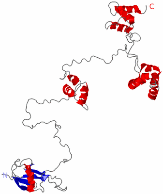 Image NMR Structure - model 1