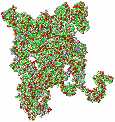 Image NMR Structure - all models