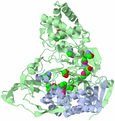 Image Biological Unit 1