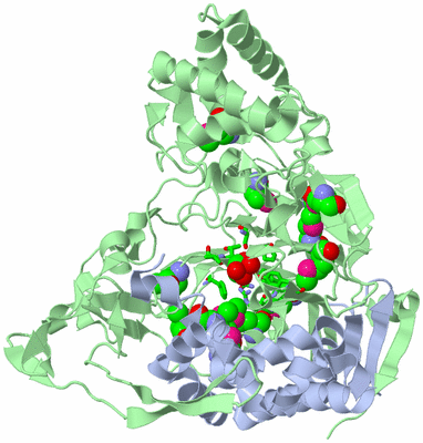 Image Biol. Unit 1 - sites