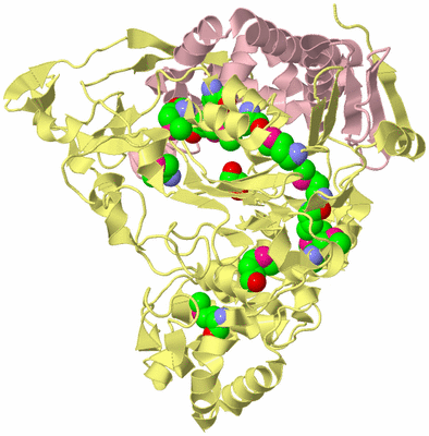 Image Biological Unit 2