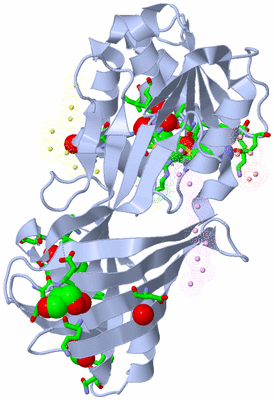 Image Biol. Unit 1 - sites