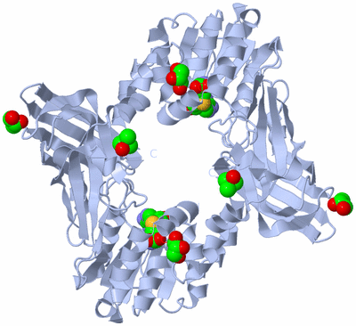 Image Biological Unit 2