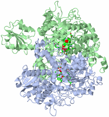 Image Biol. Unit 1 - sites