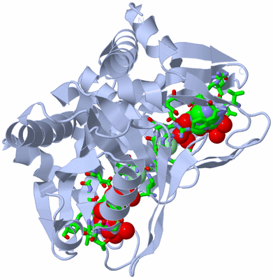 Image Biol. Unit 1 - sites