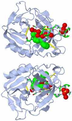 Image Biol. Unit 1 - sites