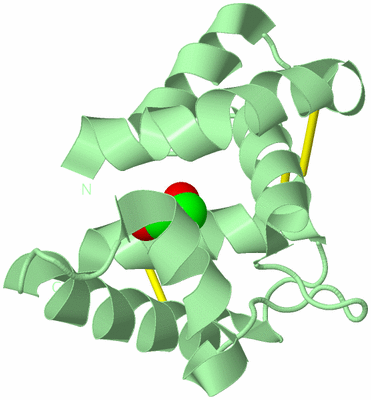 Image Biological Unit 2