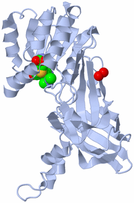 Image Biological Unit 1