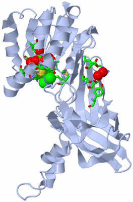 Image Biol. Unit 1 - sites