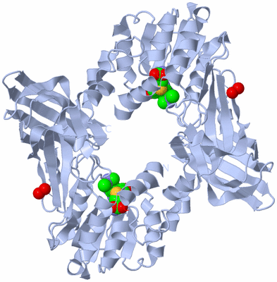 Image Biological Unit 2