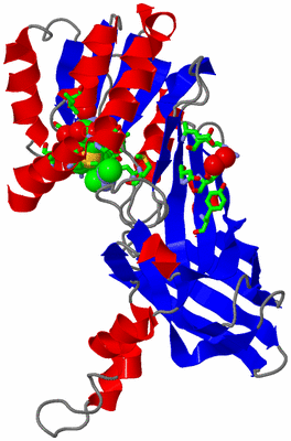 Image Asym. Unit - sites