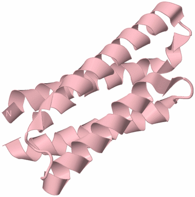 Image Biological Unit 3