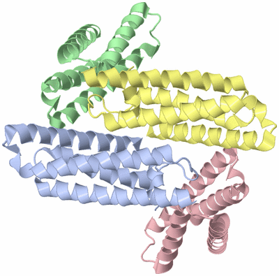 Image Biological Unit 6