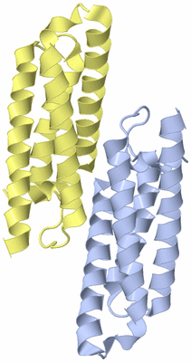 Image Biological Unit 7