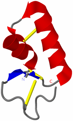 Image NMR Structure - model 1