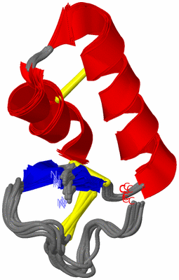 Image NMR Structure - all models