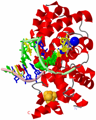 Image Asym./Biol. Unit