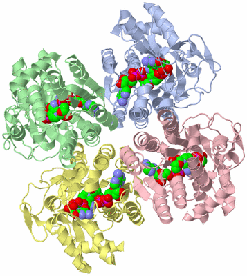 Image Biological Unit 1