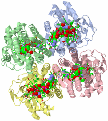 Image Biol. Unit 1 - sites