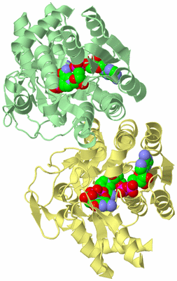 Image Biological Unit 2