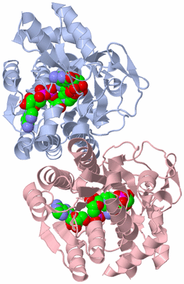 Image Biological Unit 3