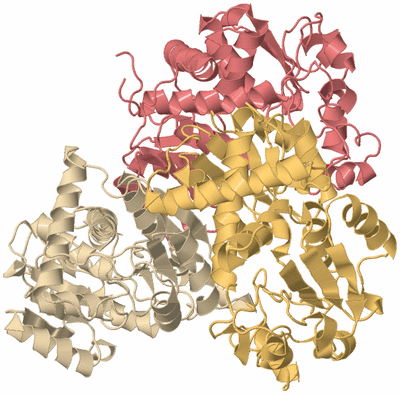 Image Biological Unit 2