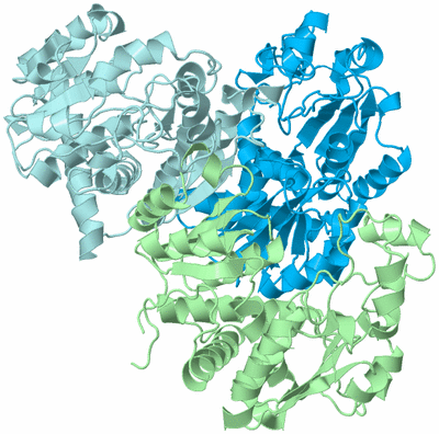 Image Biological Unit 3