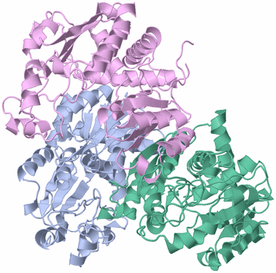 Image Biological Unit 5