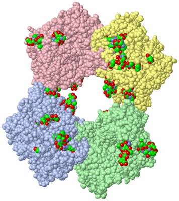 Image Asym./Biol. Unit - sites