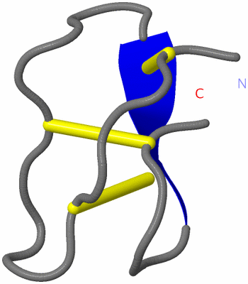 Image NMR Structure - model 1