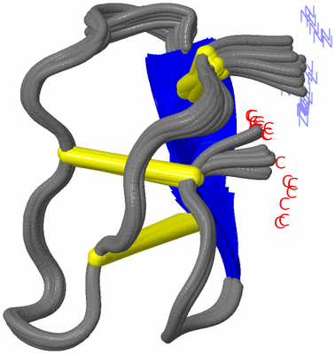 Image NMR Structure - all models