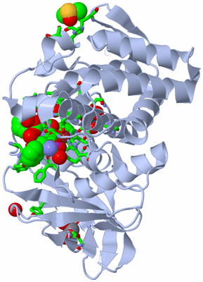 Image Biol. Unit 1 - sites