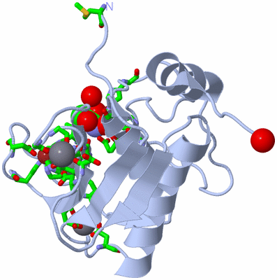 Image Biol. Unit 1 - sites