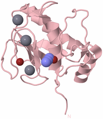 Image Biological Unit 3