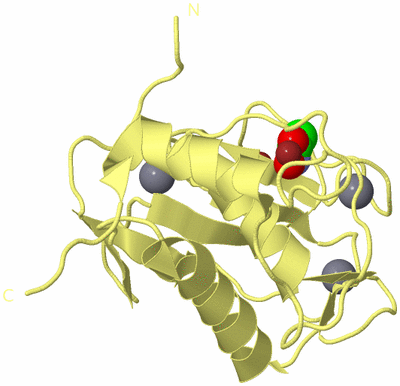 Image Biological Unit 4