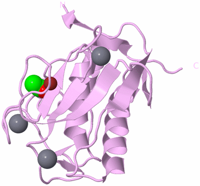 Image Biological Unit 5