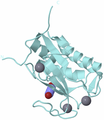 Image Biological Unit 6