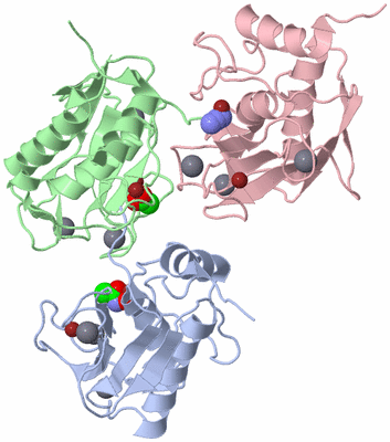 Image Biological Unit 8