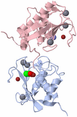 Image Biological Unit 9