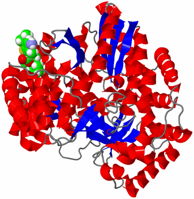 Image Asym./Biol. Unit