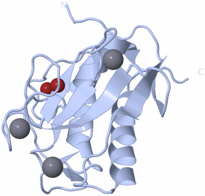 Image Biological Unit 1